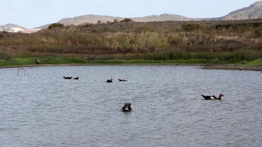 Byggegrund til salg i San Lorenzo - € 450.000 (Ref: 9119234)