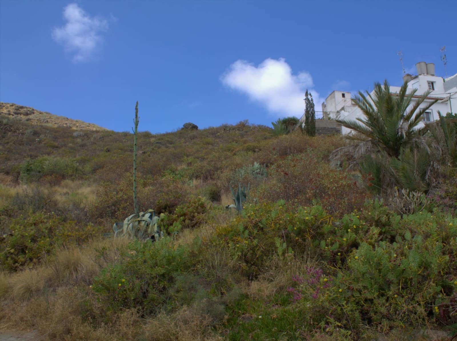 Byggegrund til salg i San Lorenzo - € 450.000 (Ref: 9119234)