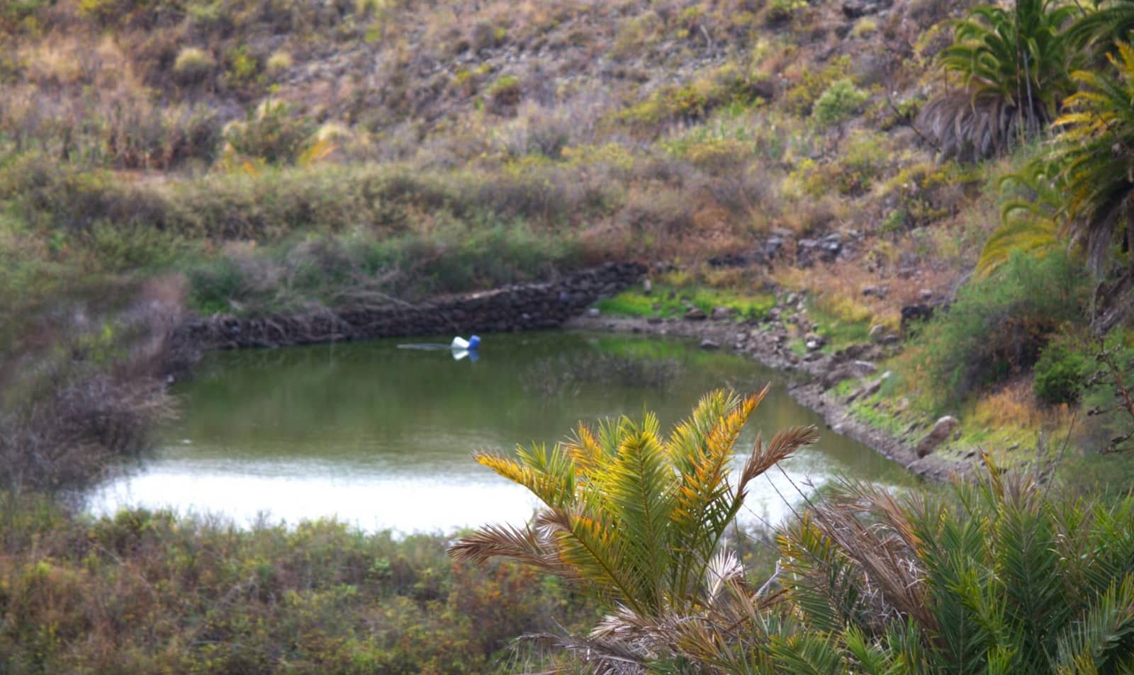 Byggegrund til salg i San Lorenzo - € 450.000 (Ref: 9119234)