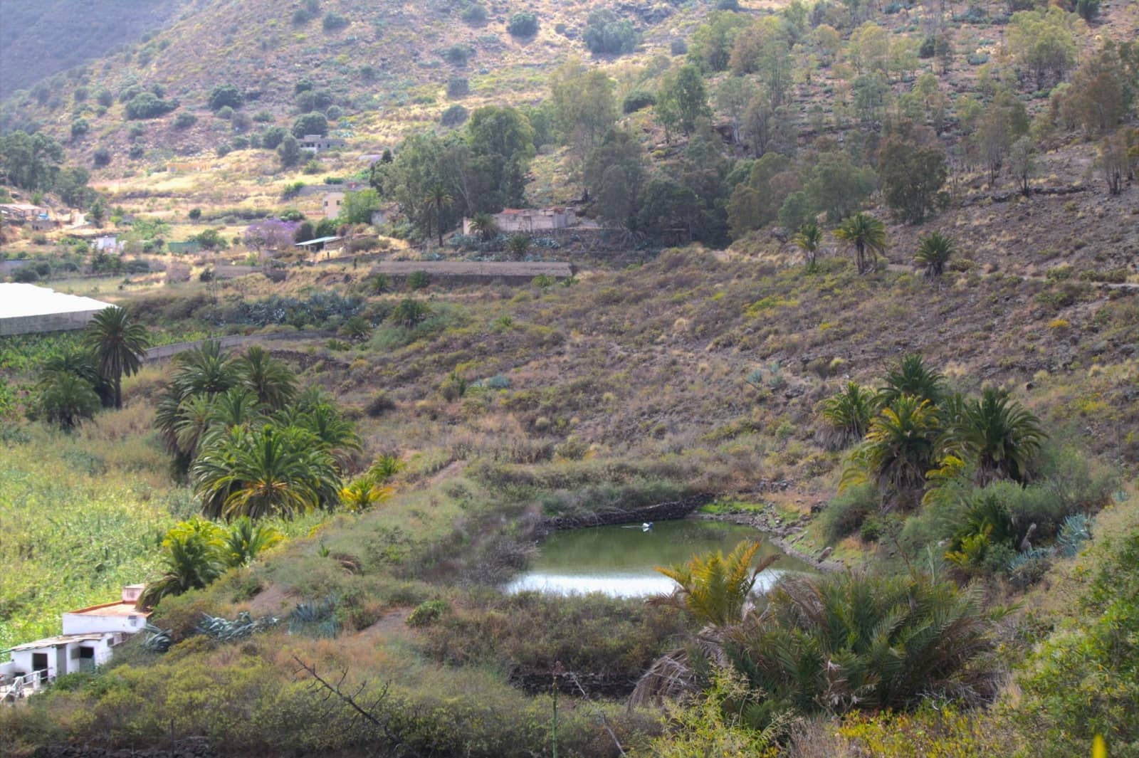 Byggegrund til salg i San Lorenzo - € 450.000 (Ref: 9119234)