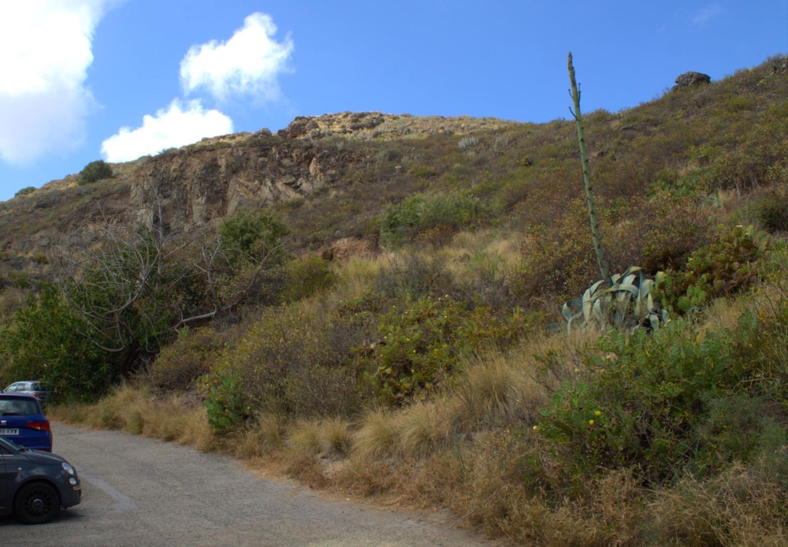 Byggegrund til salg i San Lorenzo - € 450.000 (Ref: 9119234)