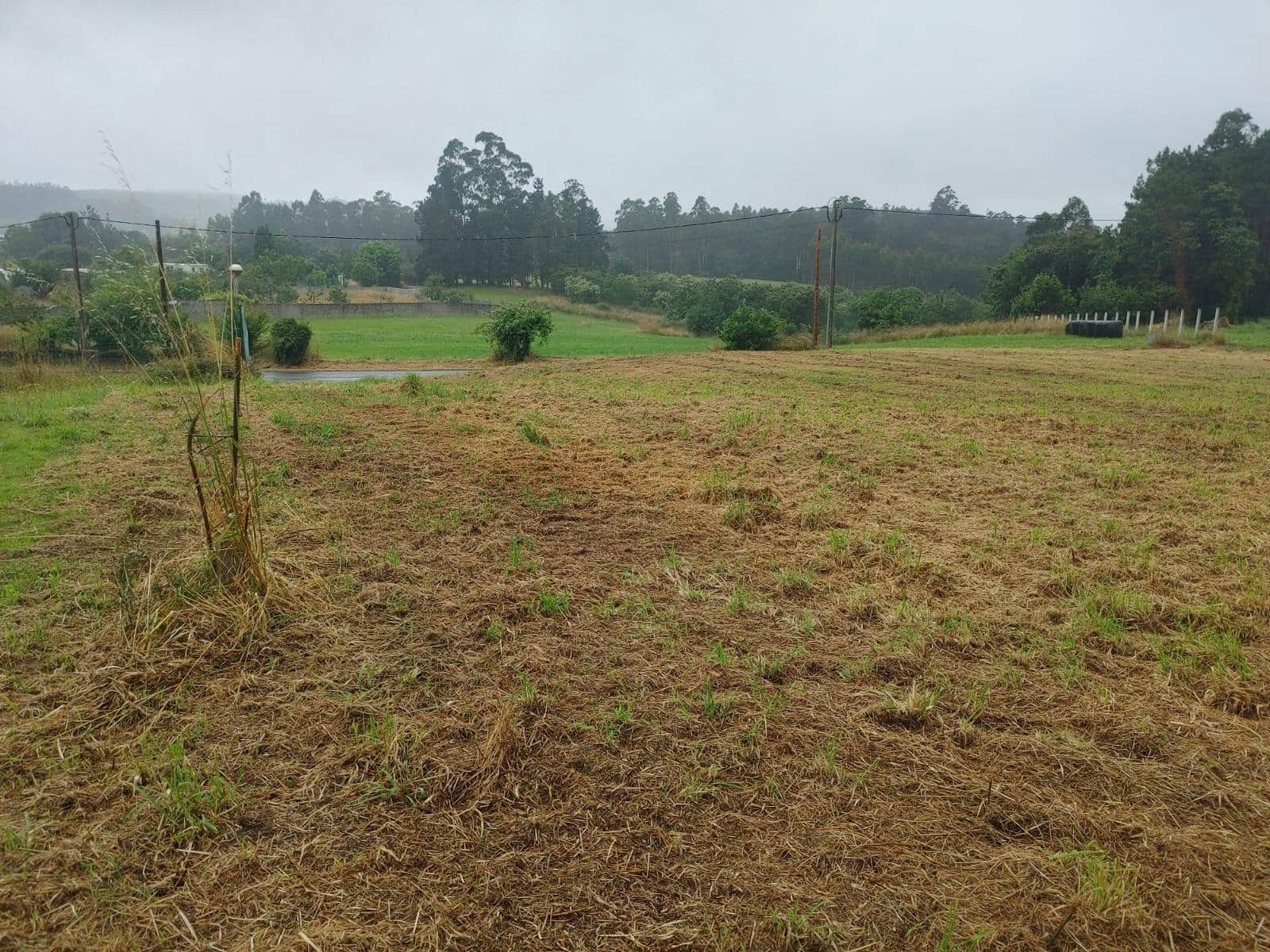 Byggegrund til salg i A Coruna by - € 36.000 (Ref: 9119295)