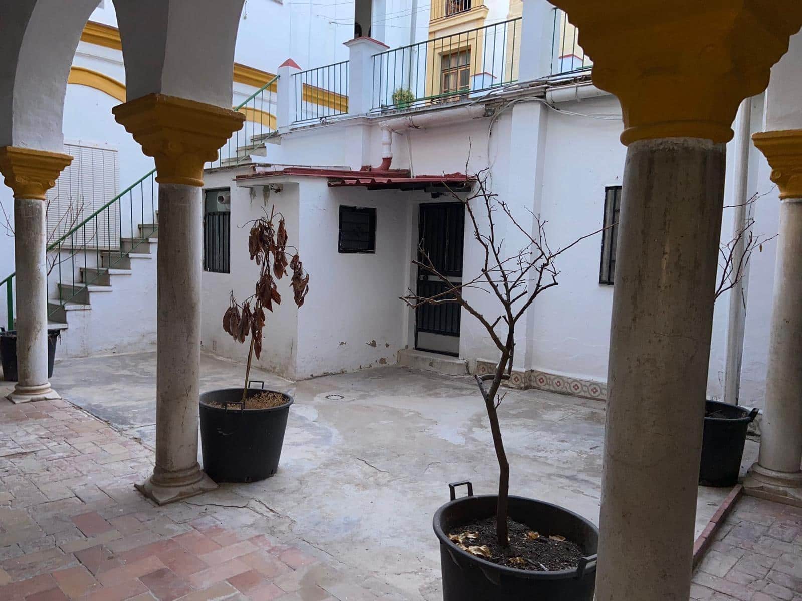 24 chambre Maison de Ville à vendre à Jerez de la Frontera - 622 000 € (Ref: 9119306)