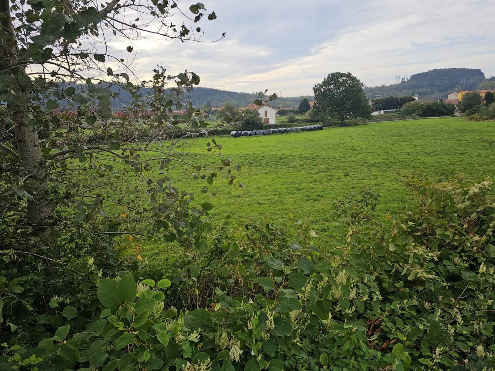 Grunde uden byggetilladelser til salg i Torrelavega - € 680.000 (Ref: 9119324)