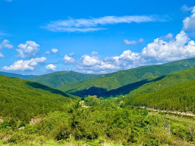 Building Plot for sale in Castiello de Jaca - € 855,000 (Ref: 9119347)