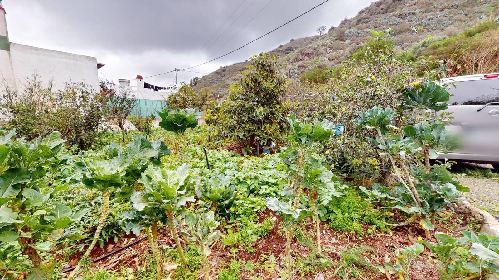 2 quarto Quinta/Casa Rural para venda em Santa Brigida com piscina - 190 500 € (Ref: 9119351)