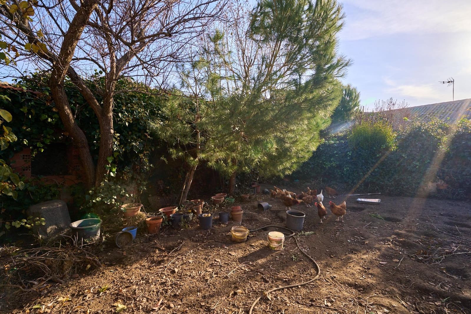 8 soveværelse Byhus til salg i La Maya med garage - € 96.000 (Ref: 9119353)