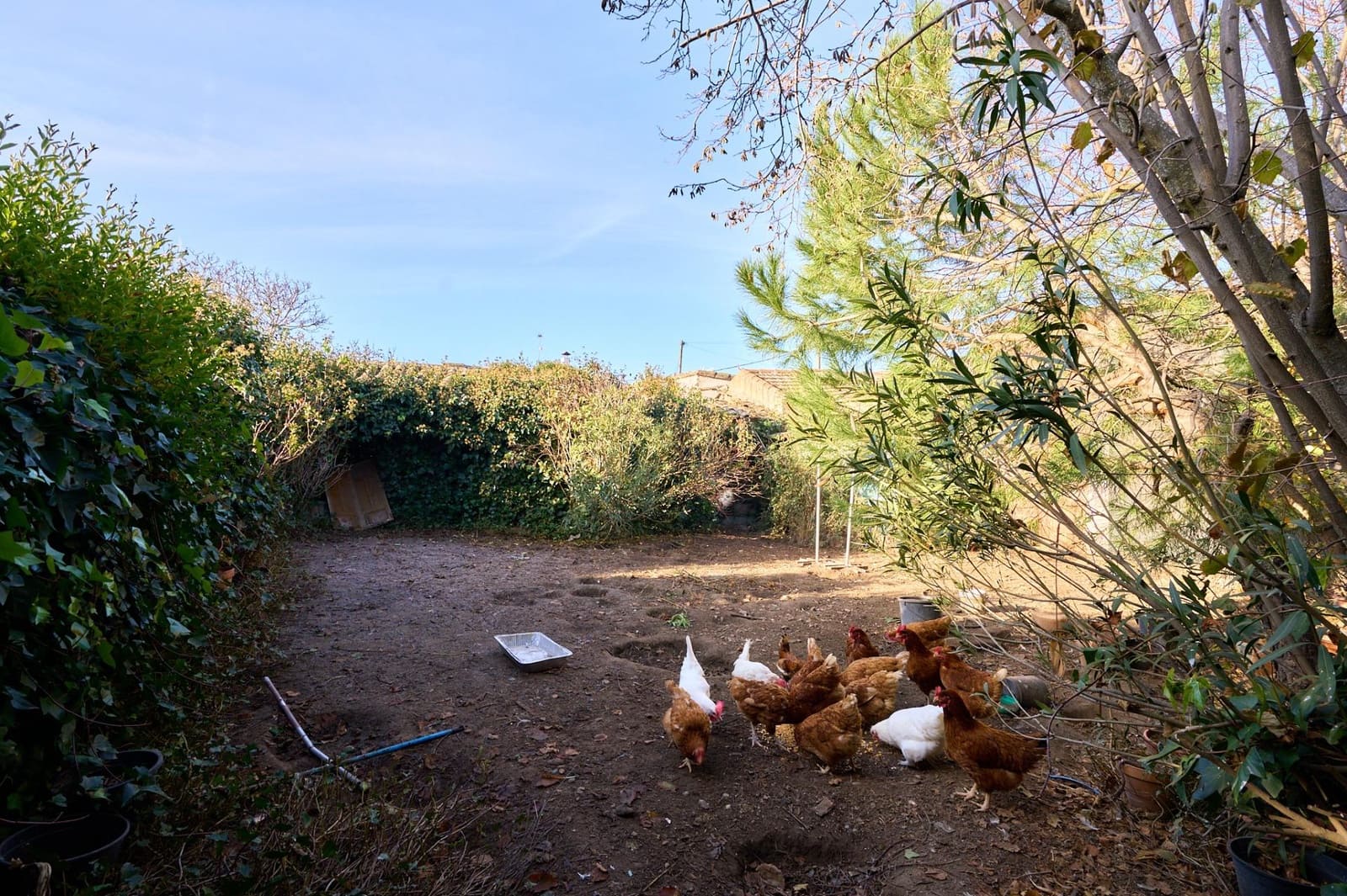 8 soveværelse Byhus til salg i La Maya med garage - € 96.000 (Ref: 9119353)