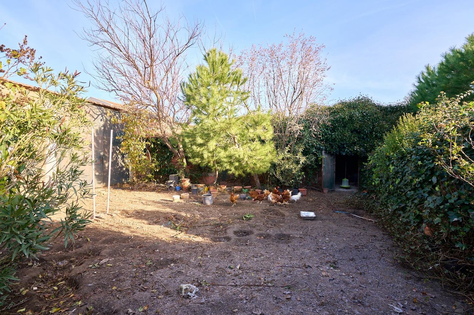 8 soveværelse Byhus til salg i La Maya med garage - € 96.000 (Ref: 9119353)