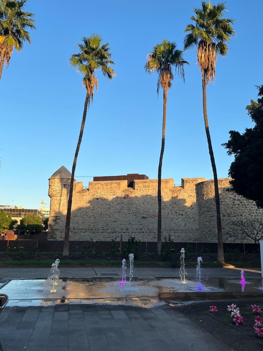 2 camera da letto Appartamento da affittare in Las Palmas de Gran Canaria - 1.500 € (Rif: 9119376)