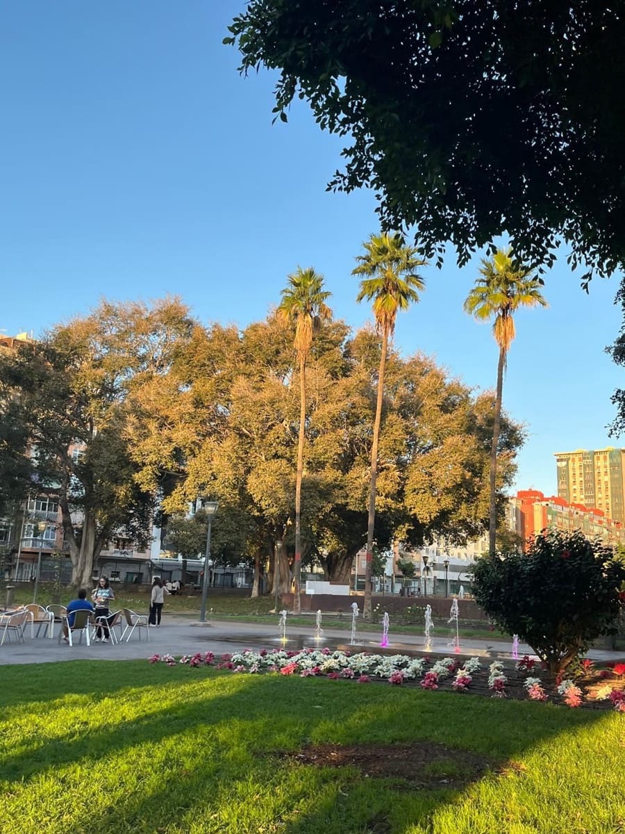 2 camera da letto Appartamento da affittare in Las Palmas de Gran Canaria - 1.500 € (Rif: 9119376)