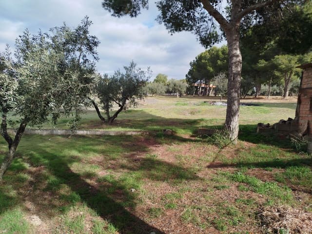 8 chambre Finca/Maison de Campagne à vendre à Jaén ville avec piscine garage - 325 000 € (Ref: 9119378)