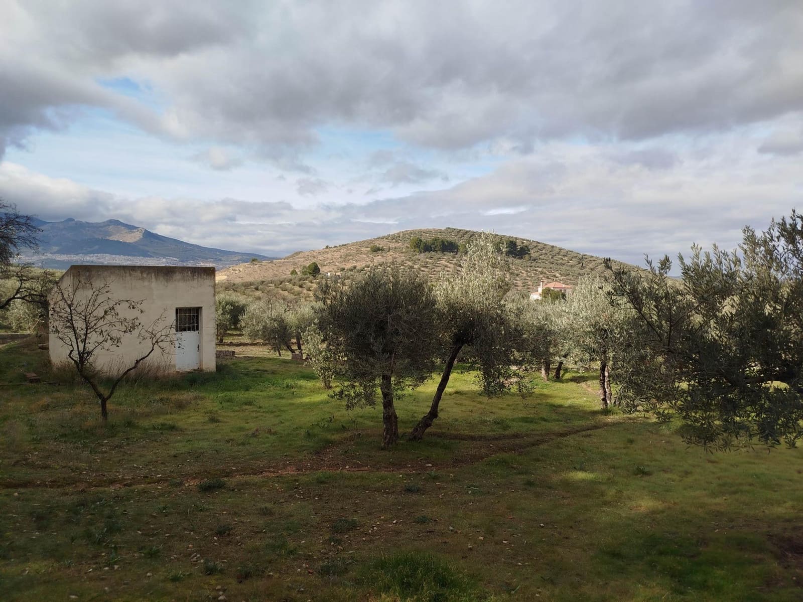 8 soveværelse Finca/Landehus til salg i Jaen by med swimmingpool garage - € 325.000 (Ref: 9119378)