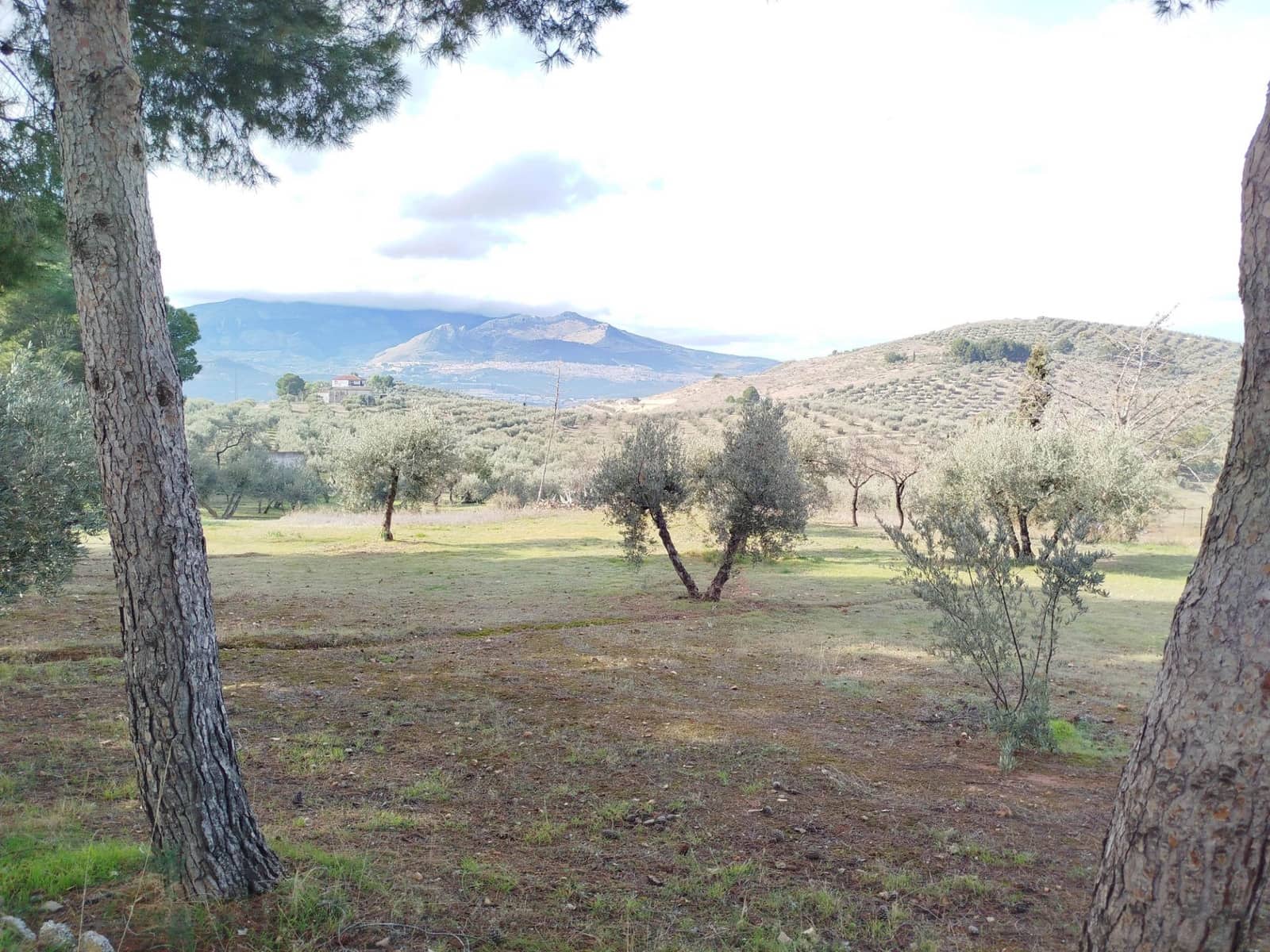 8 soveværelse Finca/Landehus til salg i Jaen by med swimmingpool garage - € 325.000 (Ref: 9119378)