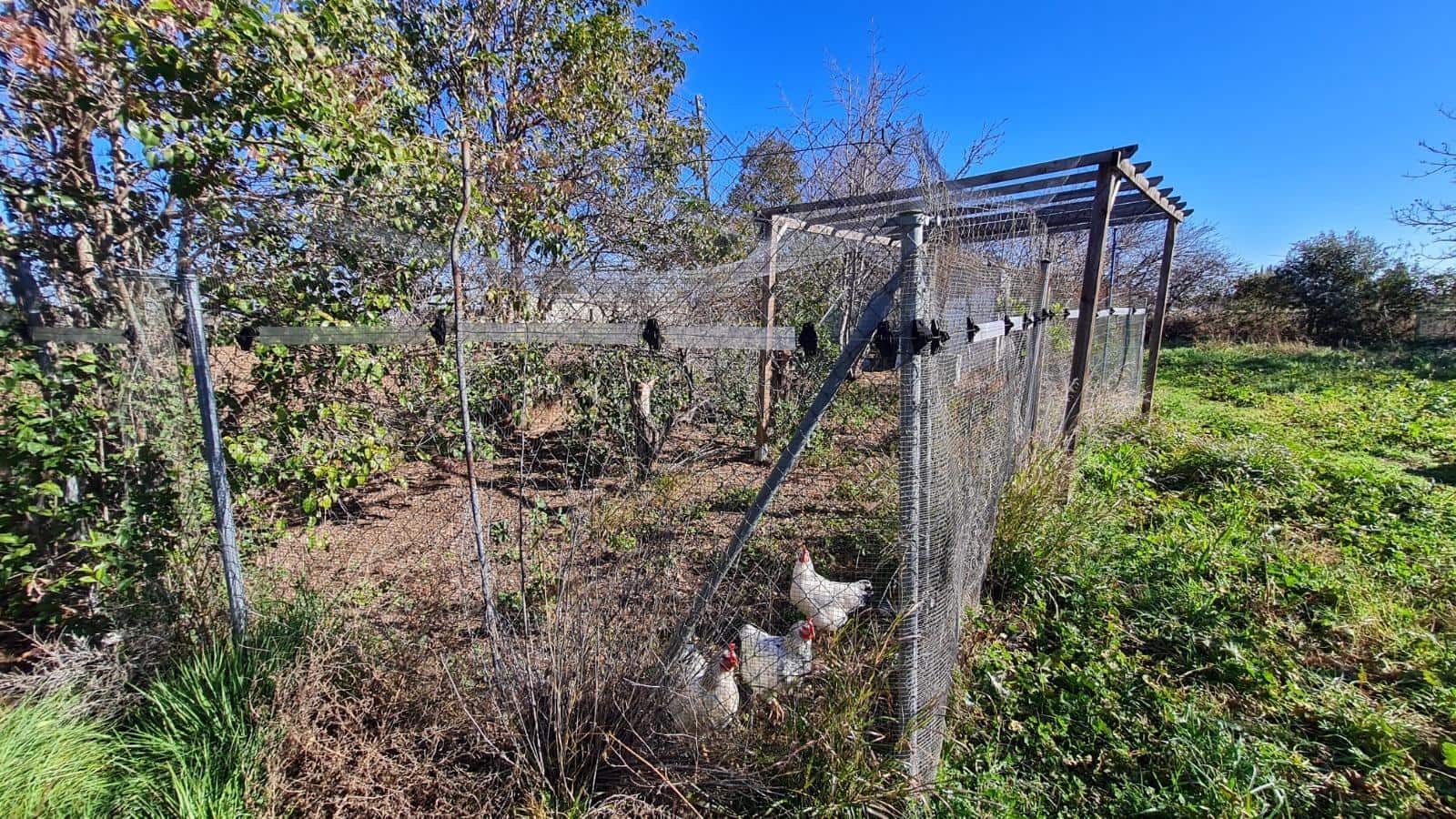 4 soveværelse Finca/Landehus til salg i Zaragoza by med garage - € 355.000 (Ref: 9119394)