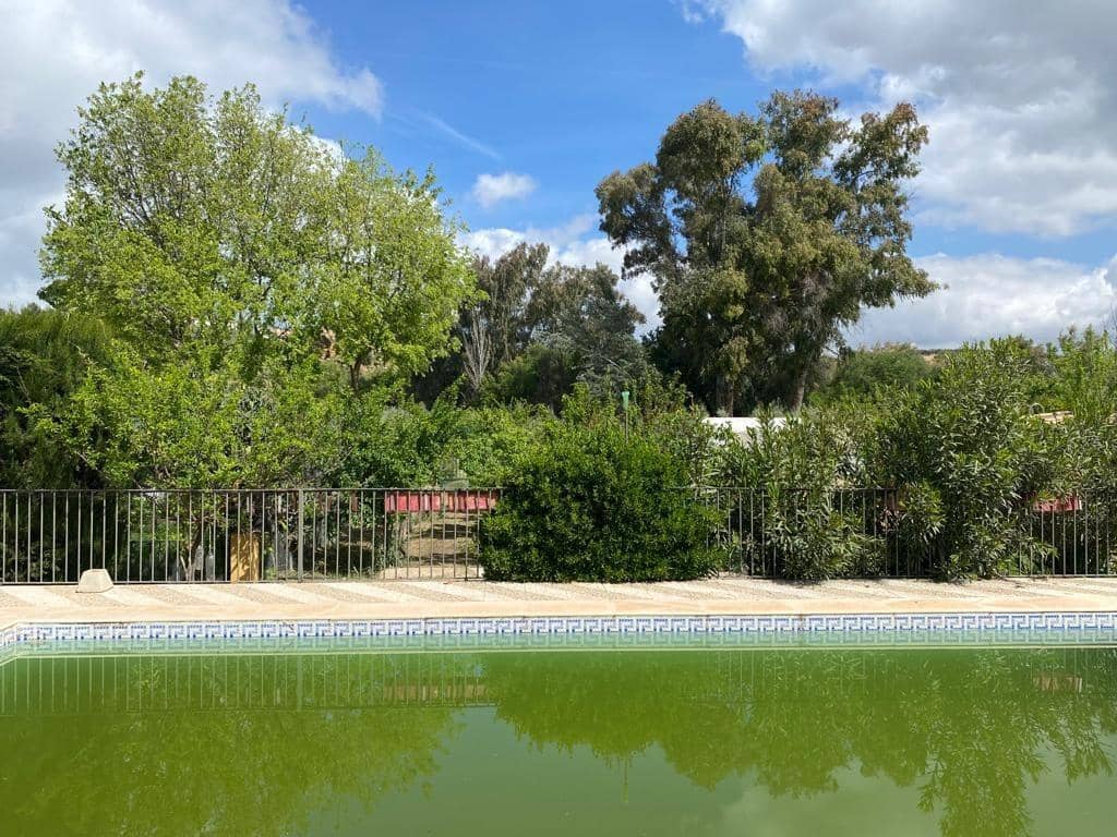 5 sypialnia Finka/Dom wiejski na sprzedaż w Baena z basenem - 230 000 € (Ref: 9119417)