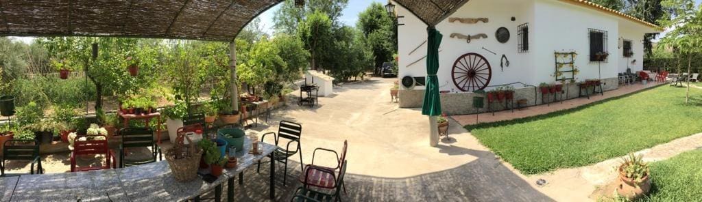 5 sypialnia Finka/Dom wiejski na sprzedaż w Baena z basenem - 230 000 € (Ref: 9119417)