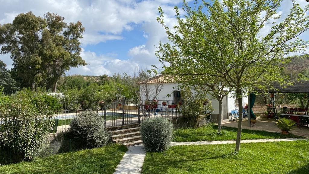 5 sypialnia Finka/Dom wiejski na sprzedaż w Baena z basenem - 230 000 € (Ref: 9119417)