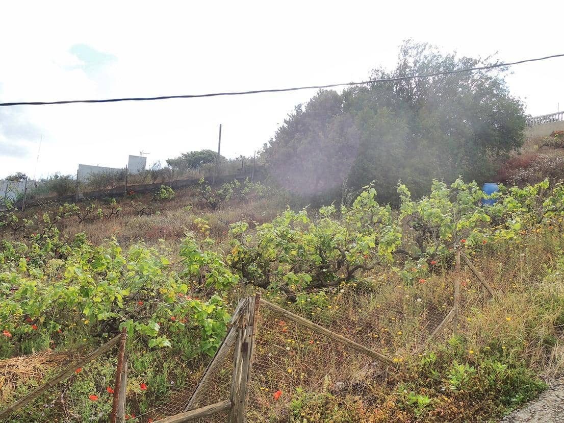 Solar/Parcela en Santa Brígida en venta - 35.000 € (Ref: 9119450)