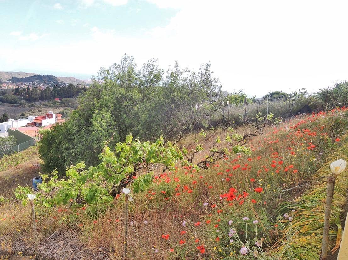 Solar/Parcela en Santa Brígida en venta - 35.000 € (Ref: 9119450)