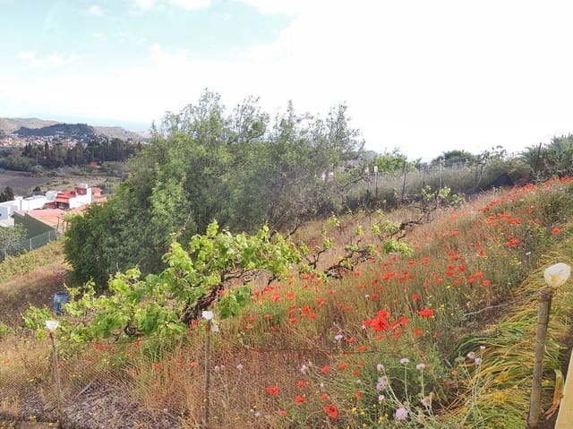 Tomt till salu i Santa Brígida - 35 000 € (Ref: 9119450)