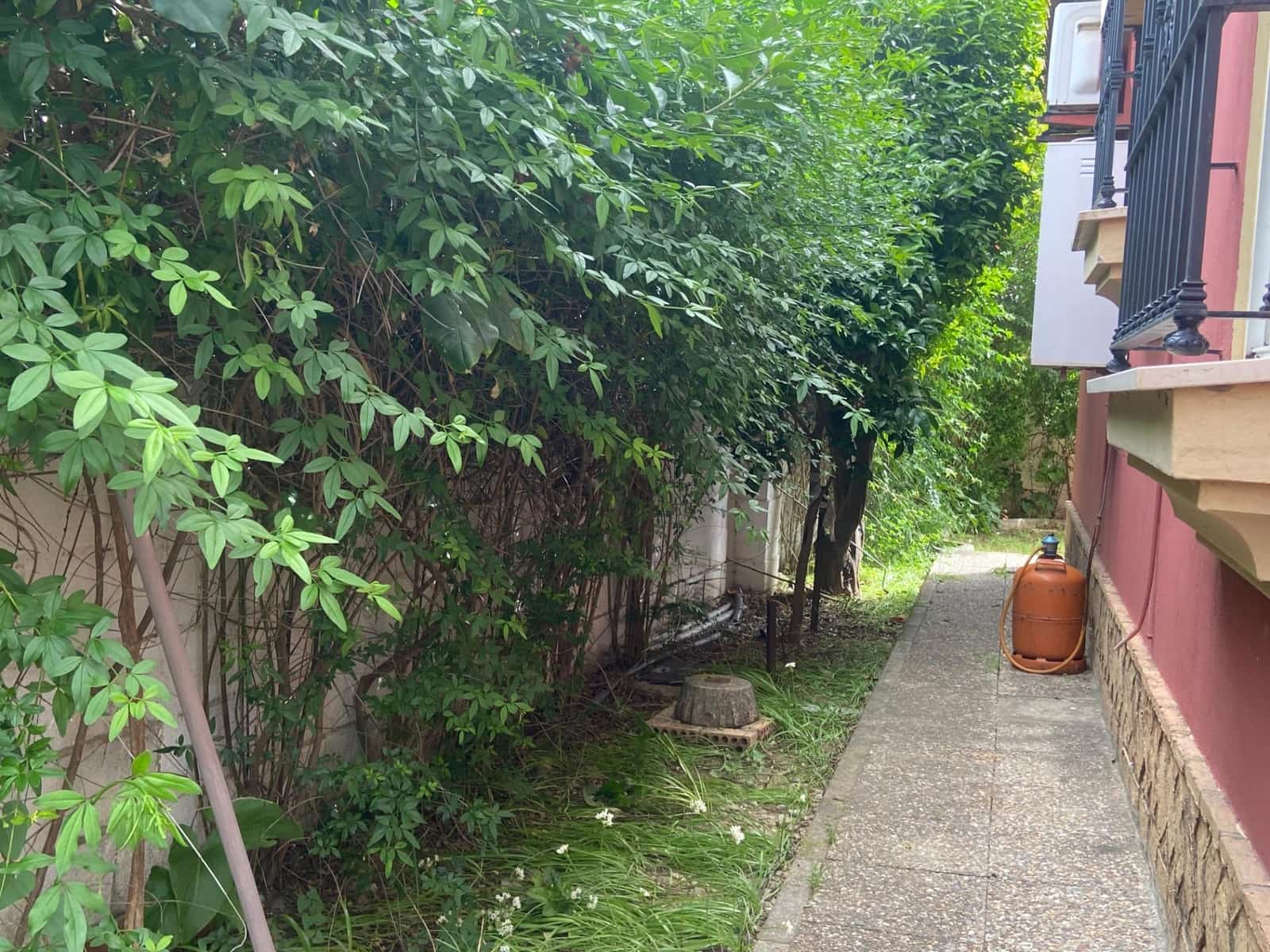 2 Zimmer Finca/Landgut zu verkaufen in El Puerto de Santa Maria - 245.900 € (Ref: 9119451)