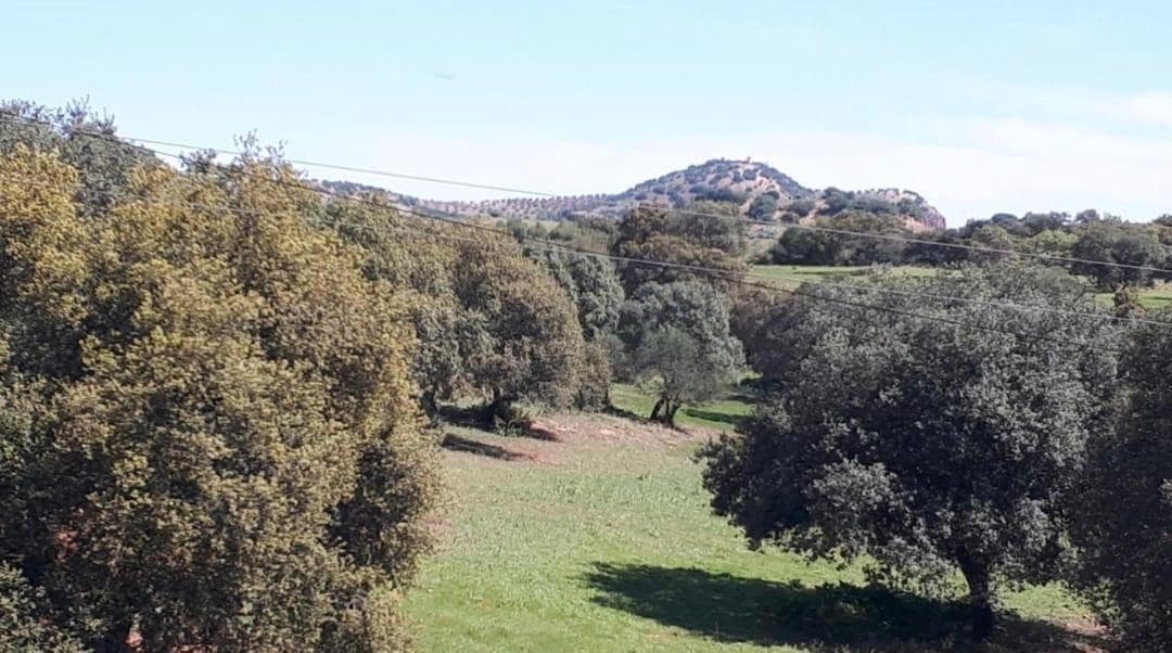 Finca/Casa Rural de 6 habitaciones en Vilches en venta con garaje - 130.000 € (Ref: 9119452)