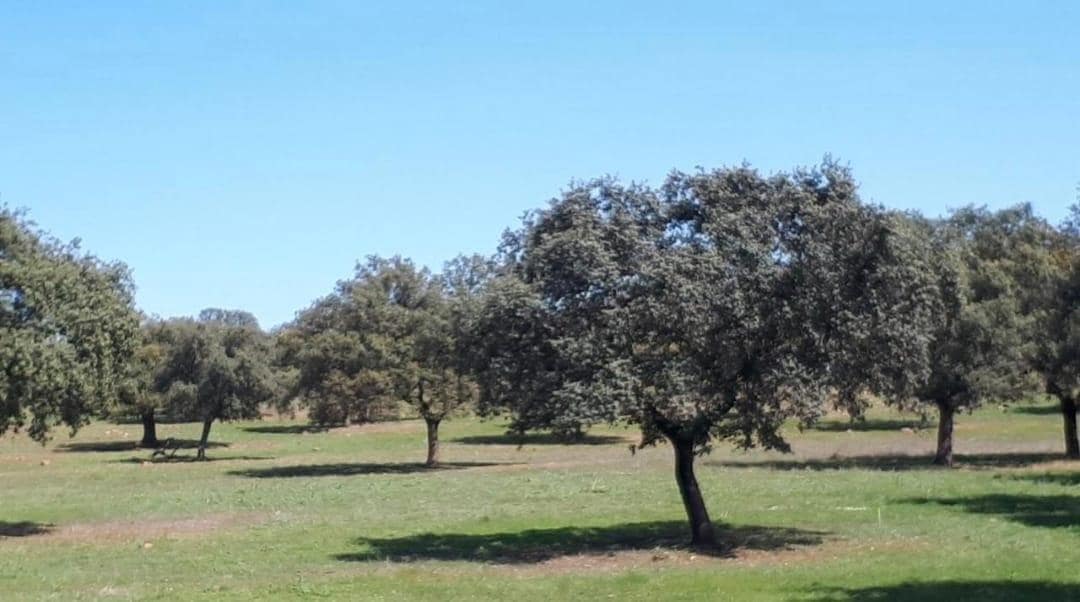 Finca/Casa Rural de 6 habitaciones en Vilches en venta con garaje - 130.000 € (Ref: 9119452)