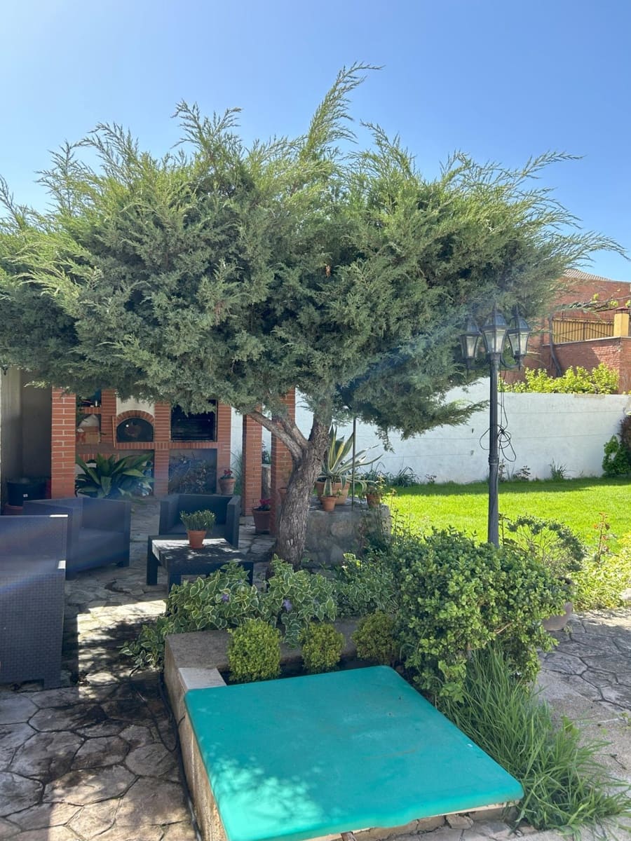 5 soveværelse Villa til salg i Alovera med swimmingpool - € 470.000 (Ref: 9119453)