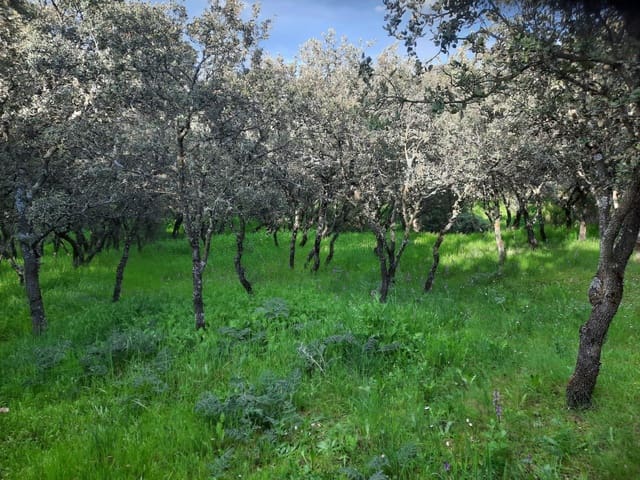 Tomt till salu i El Casar - 72 000 € (Ref: 9123813)