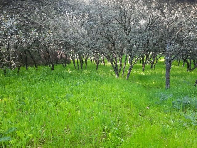 Tomt till salu i El Casar - 72 000 € (Ref: 9123813)