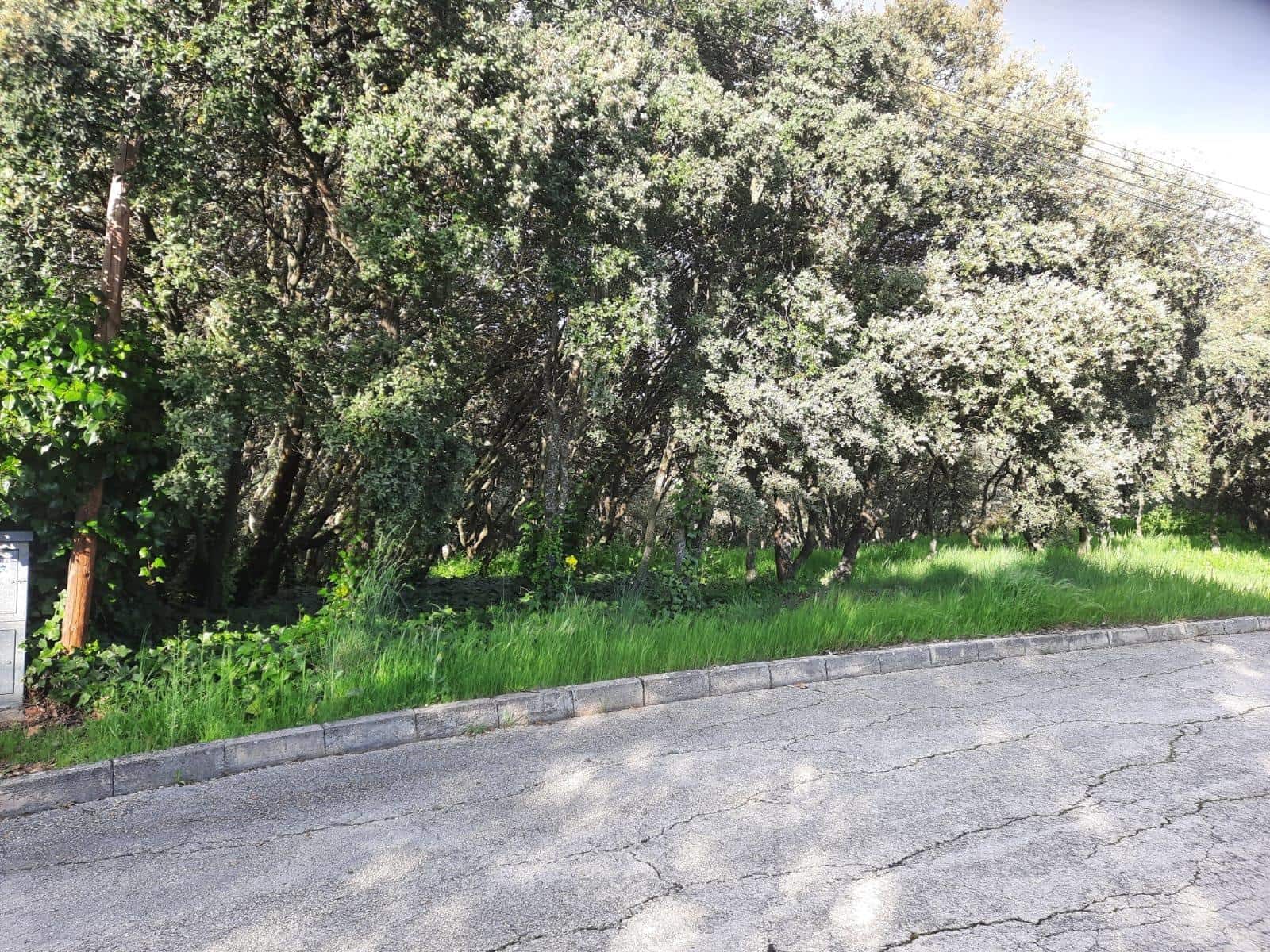 Działka budowlana na sprzedaż w El Casar - 72 000 € (Ref: 9123813)