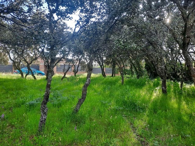 Tomt till salu i El Casar - 72 000 € (Ref: 9123813)