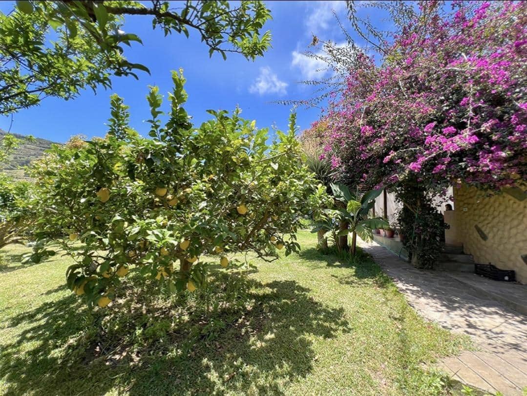 3 camera da letto Finca/Casa di Campagna in vendita in La Orotava - 650.000 € (Rif: 9125275)