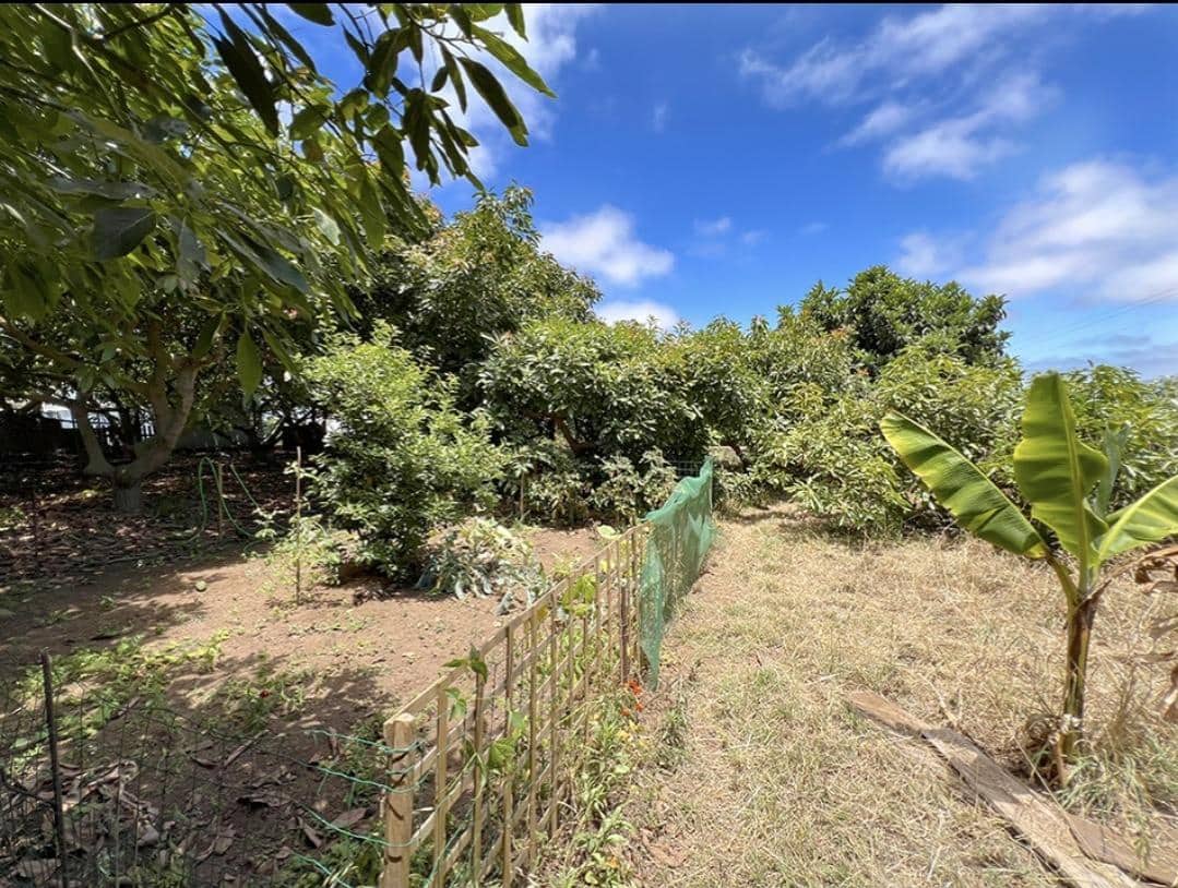 3 camera da letto Finca/Casa di Campagna in vendita in La Orotava - 650.000 € (Rif: 9125275)