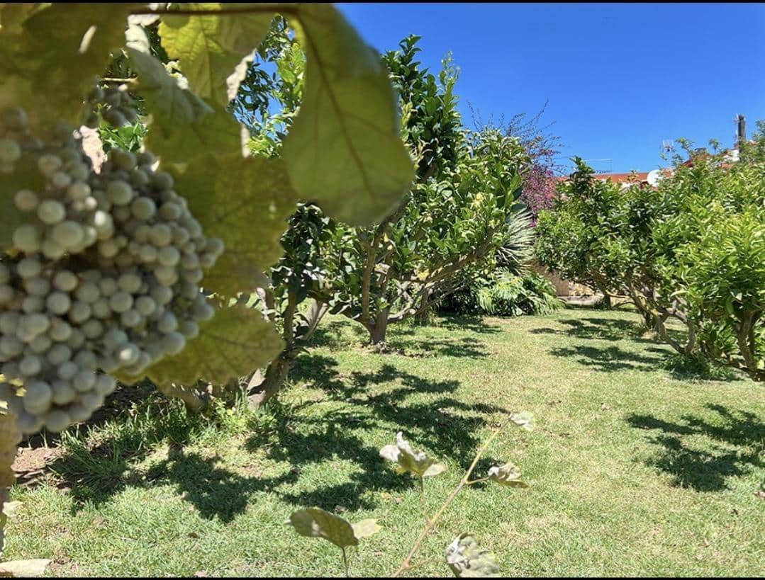 3 camera da letto Finca/Casa di Campagna in vendita in La Orotava - 650.000 € (Rif: 9125275)