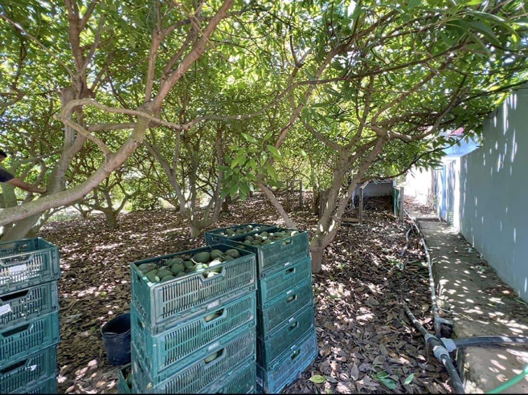 3 camera da letto Finca/Casa di Campagna in vendita in La Orotava - 650.000 € (Rif: 9125275)