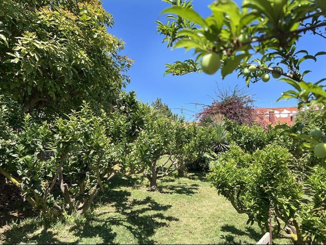 3 camera da letto Finca/Casa di Campagna in vendita in La Orotava - 650.000 € (Rif: 9125275)