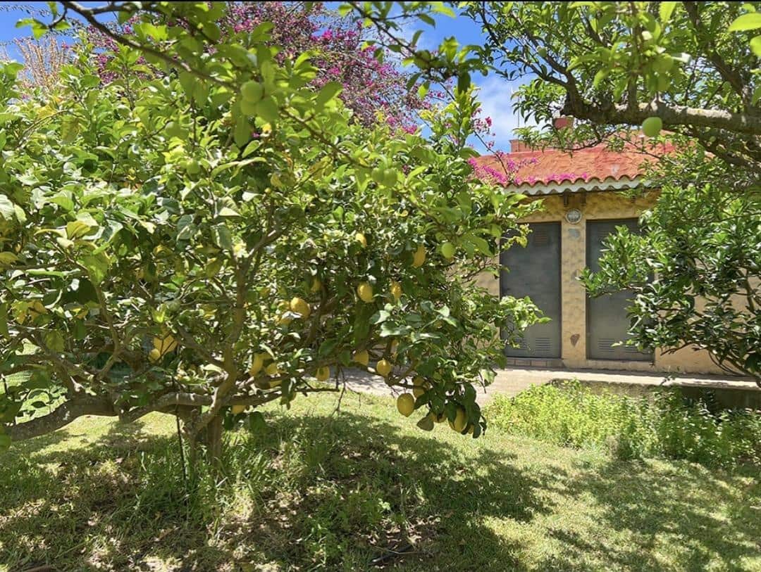 3 camera da letto Finca/Casa di Campagna in vendita in La Orotava - 650.000 € (Rif: 9125275)