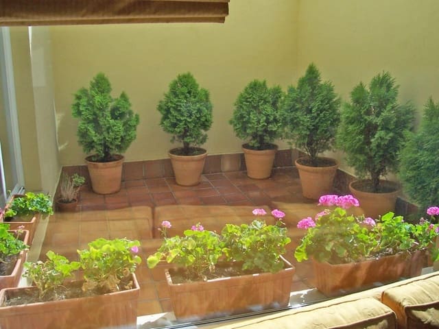 3 soveværelse Byhus til salg i Salamanca by med garage - € 800.000 (Ref: 9206655)