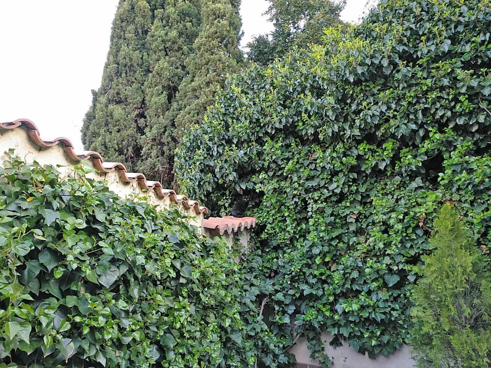 3 soveværelse Byhus til salg i Salamanca by med garage - € 800.000 (Ref: 9206655)