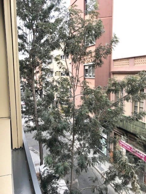 Studio til leje i Las Palmas de Gran Canaria - € 900 (Ref: 9208478)