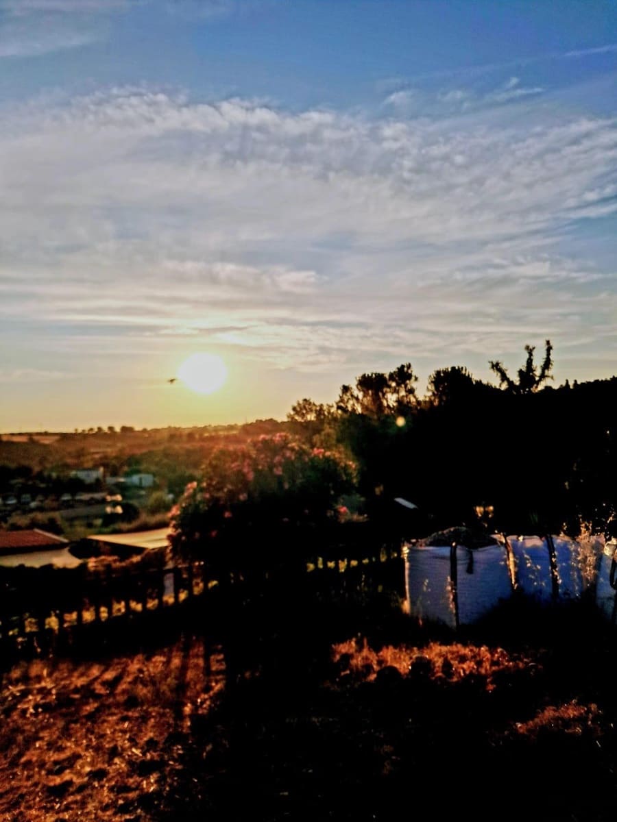 5 bedroom Villa for sale in Matarrubia - € 285,000 (Ref: 9232780)