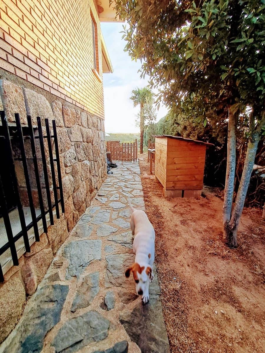 5 bedroom Villa for sale in Matarrubia - € 285,000 (Ref: 9232780)