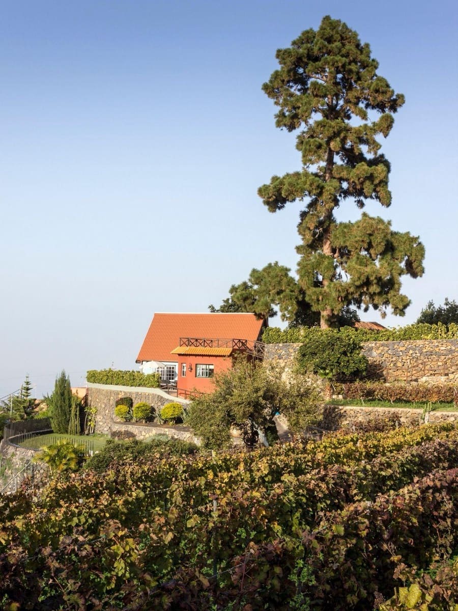 4 soveværelse Finca/Landehus til salg i La Quinta med swimmingpool - € 4.750.000 (Ref: 9240242)