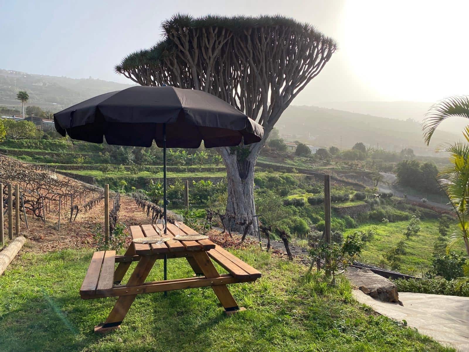 4 soveværelse Finca/Landehus til salg i La Quinta med swimmingpool - € 4.750.000 (Ref: 9240242)