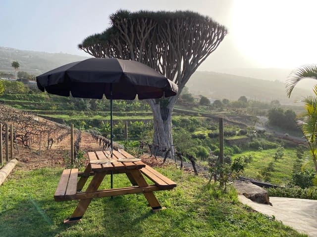 4 soverom Finca/Herregård til salgs i La Quinta, Santa Ursula med svømmebasseng - € 4 750 000 (Ref: 9240242)