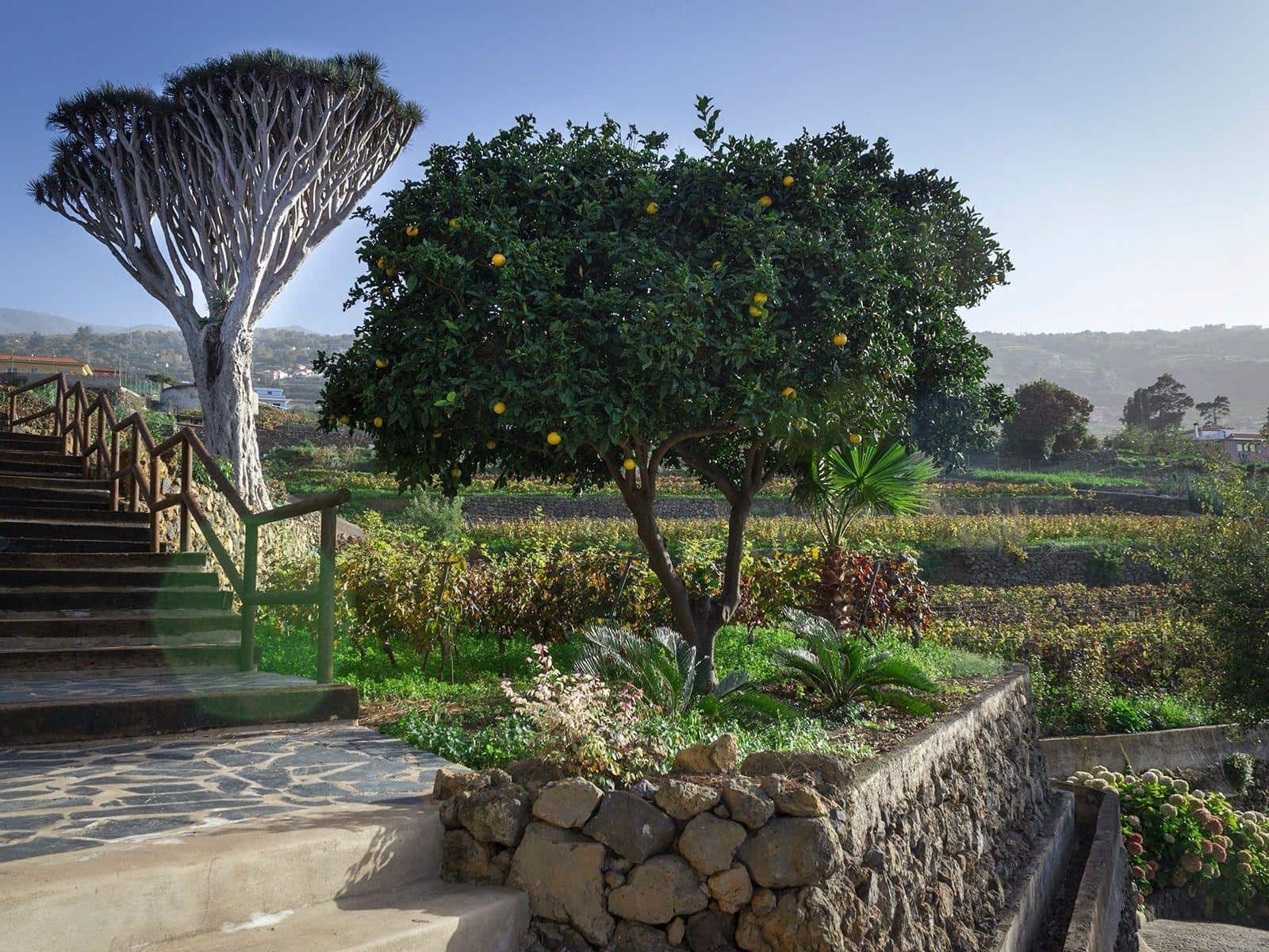 4 soveværelse Finca/Landehus til salg i La Quinta med swimmingpool - € 4.750.000 (Ref: 9240242)