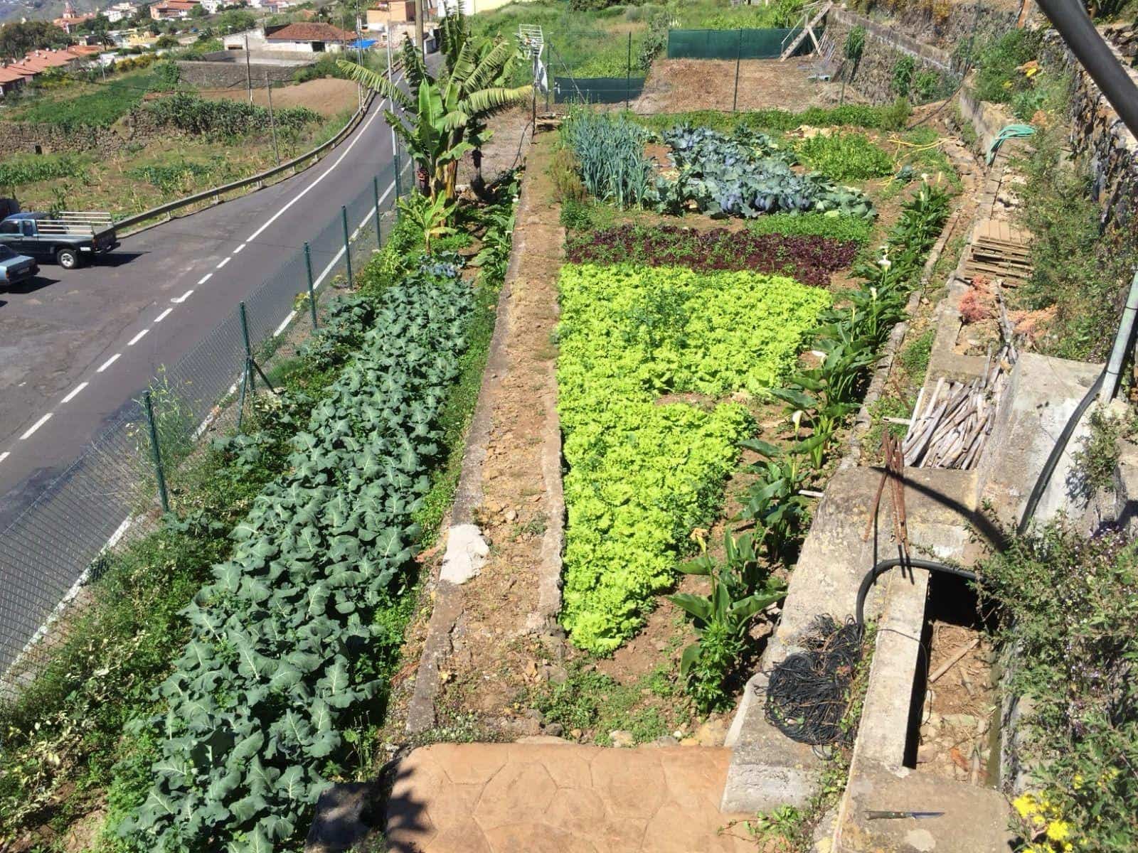 4 soveværelse Finca/Landehus til salg i La Quinta med swimmingpool - € 4.750.000 (Ref: 9240242)