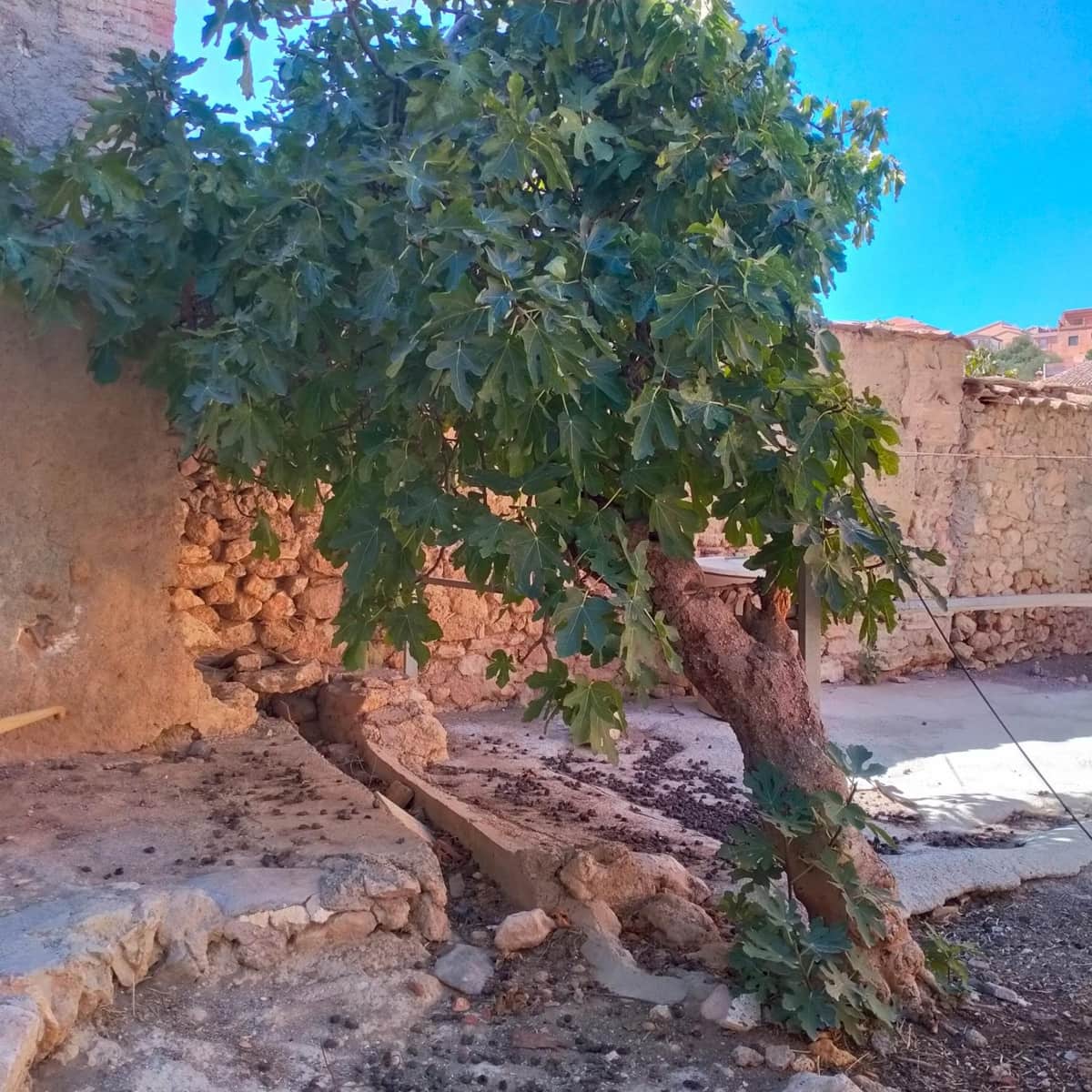 6 soverom Rekkehus til salgs i El Pinar - € 199 000 (Ref: 9240248)